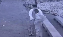 公园野战视频,激情四溢的户外竞技体验